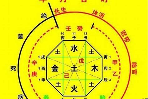 八字命盤神煞|生辰八字命格及格局查詢、排盤、分析、測算